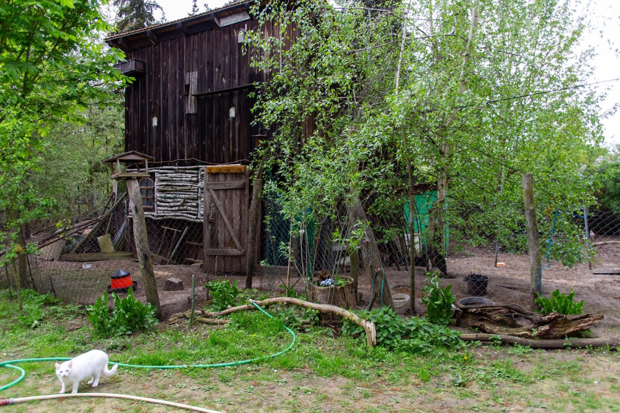 Apartament Storchenhof Schmogrow Zewnętrze zdjęcie